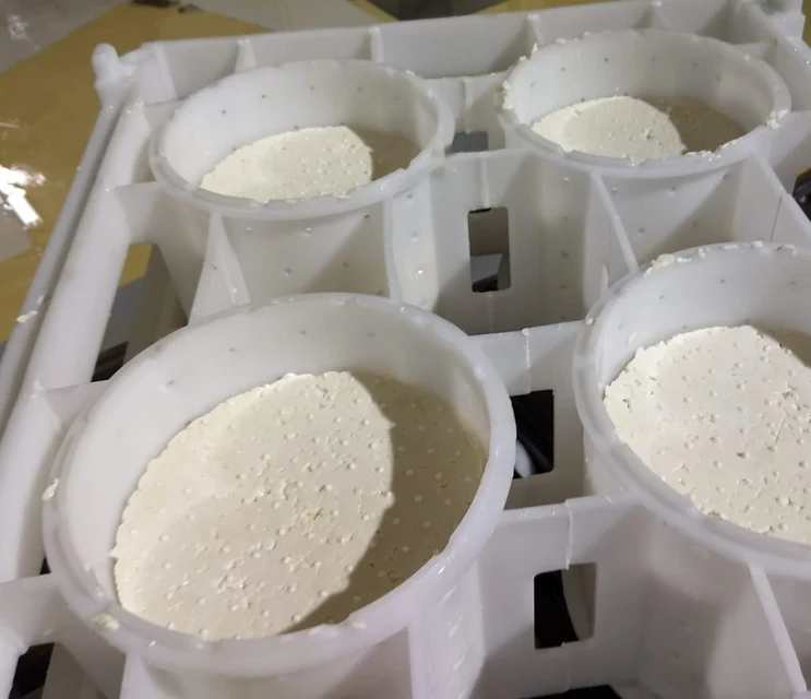 Moldes para quesos Azul