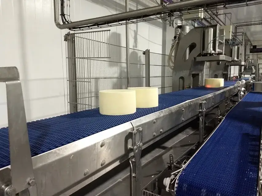 Sbrinz Cheese Moulds